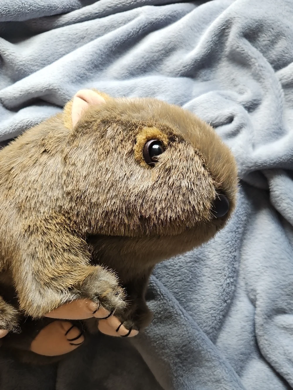 Brown Plush Wombat Toy - Soft Small Pet Plush